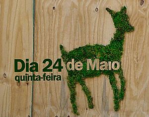 1ª Oficina de Grafite Musgo será realizada gratuitamente em Itu