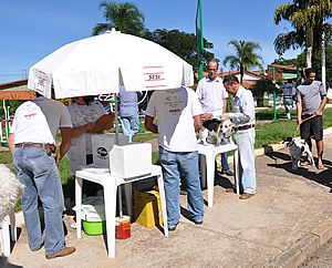 Campanha de Vacinação Antirrábica segue em junho