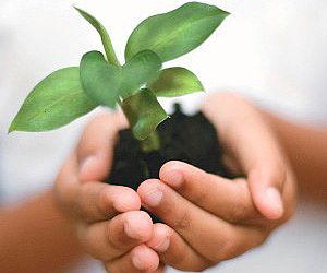 Semana do Meio Ambiente de Porto Feliz tem início dia 31  