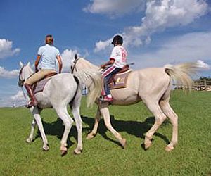 Férias de julho: Passe um dia no Manege São Joaquim