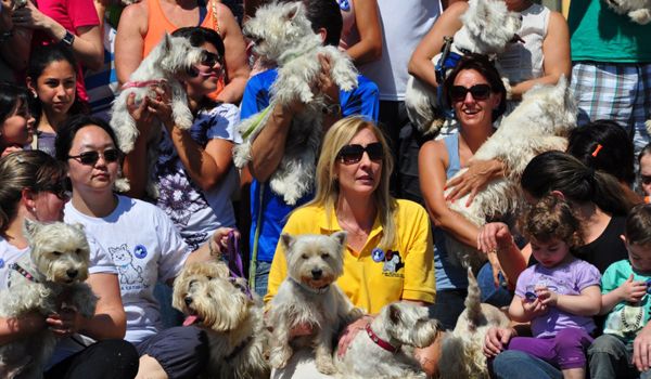 Clube de Cãompo sedia pela 4ª vez o "Encontro de Branquelos"