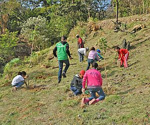 Plantio é realizado em área de futuro Parque Ecológico