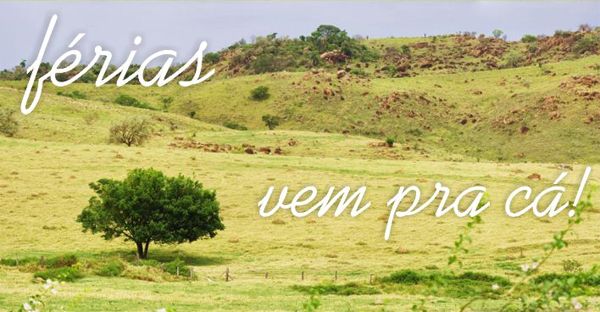Férias de janeiro na Fazenda das Pedras - Vem pra cá!