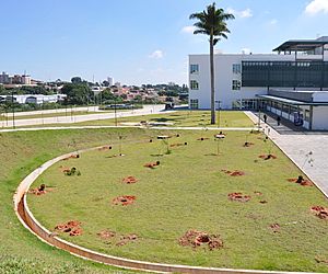 Plantio de ipês ocorre em homenagem a Convenção Republicana