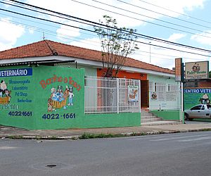 Padre Bento Clínica Veterinária contrata motorista para pet shop