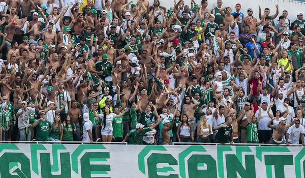 Palmeiras divulga informações sobre ingressos para o jogo deste sábado