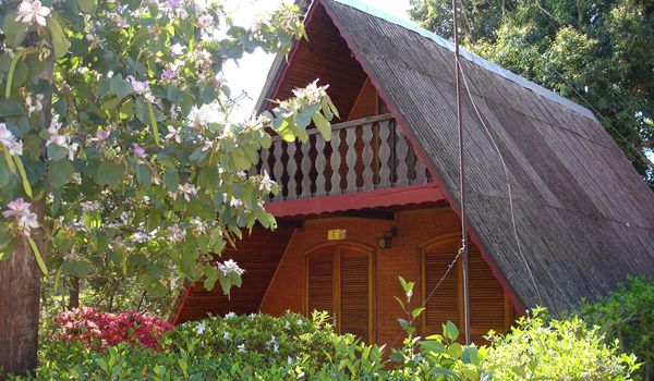 Dia dos Namorados: Camping Casarão divulga pacote especial 