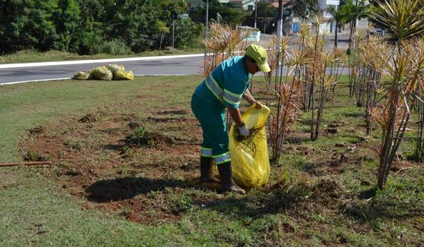 Capina e limpeza são aperfeiçoadas pelo Comitê de Combate às Queimadas