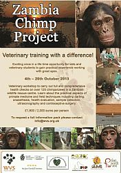 Veterinárias brasileiras vão à treino na África