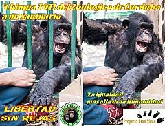 Para que serve um zoológico?