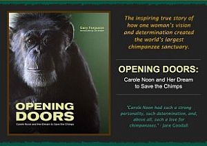 Abrindo Portas: "Opening Doors