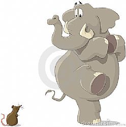 A Pata do Elefante