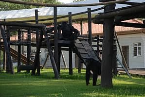 Integração no Santuário do Paraná