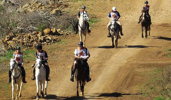 Fazenda Capoava sedia prova de Enduro do Cavalo Crioulo