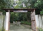 Imagem de: Bosque Alceu Geribello comemora 50 anos nesta quinta-feira