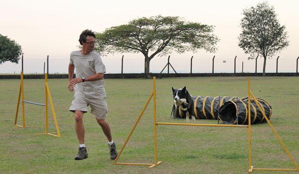 Alexandre Zanetti prepara cães para a temporada 2014-2015 de Agility