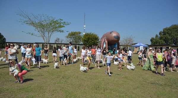 Clube de Cãompo reúne cerca de 100 cães no 9º Encontro dos Branquelos