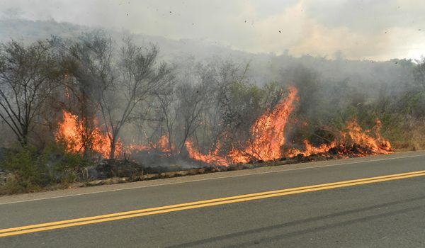 Queimadas em rodovias crescem 61% no período de seca em 2014