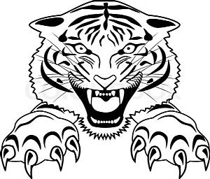 Quero votar no tigre