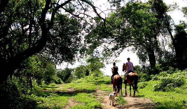Chácara do Rosário realiza Cavalgada Trilha das Árvores Ancestrais 