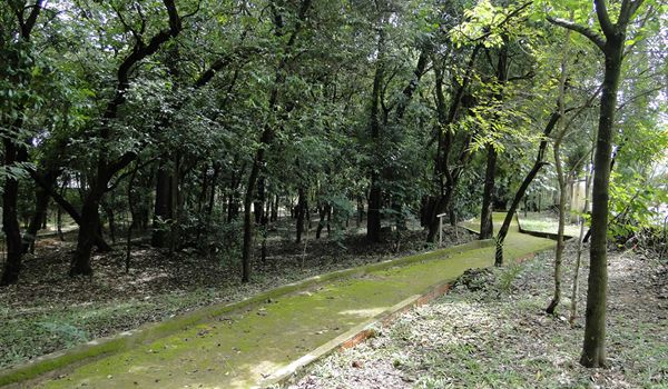 Semana do Meio Ambiente 2015 tem diversas atividades em Itu