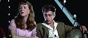 Vidas Amargas (1955)