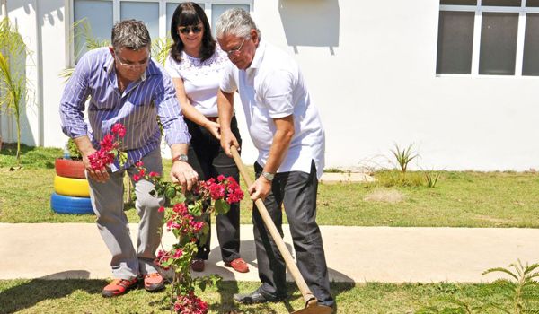 Projeto de incentivo de plantio de Primaveras é lançado em Itu