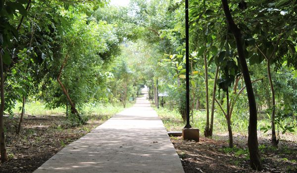 "Domingo no Parque" oferece treinamento orientado de corrida de rua