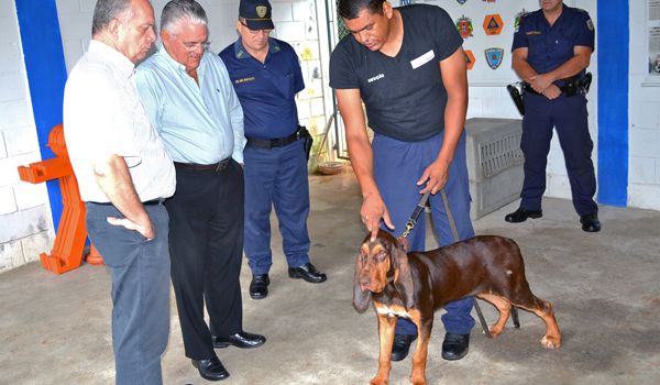 Canil da Guarda Municipal de Itu ganha mais um animal