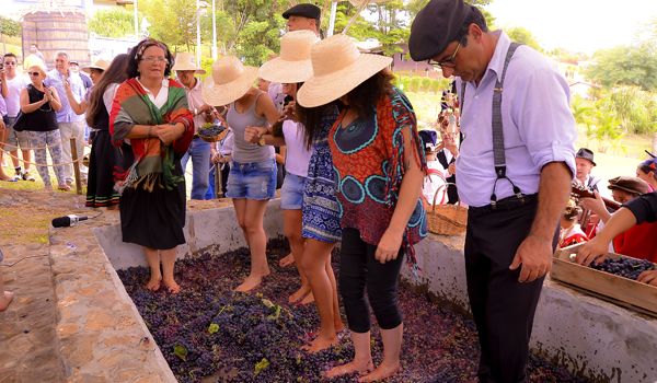 5° Pisa da Uva será atração neste sábado na cidade de São Roque