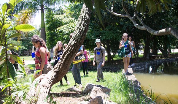 Projeto "Naturando" tem início neste fim de semana em Sorocaba