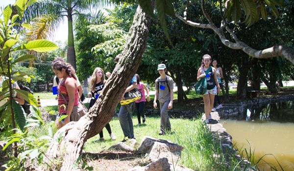 Projeto "Naturando" tem início neste fim de semana em Sorocaba