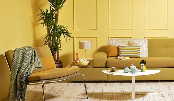 Cor perfeita: Palone Tintas dá dicas para você acertar na escolha