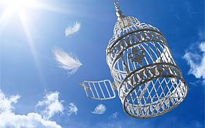 Sobre a Psicologia e a Liberdade - Parte 4