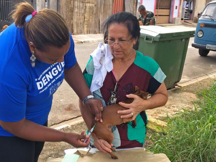 Vacinação Antirrábica na região do Pirapitingui começa no dia 13