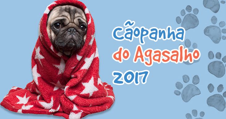 CEUNSP promove campanha de agasalho para cães
