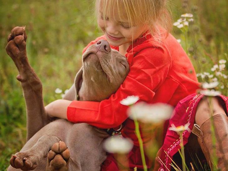 O cão e a pequena