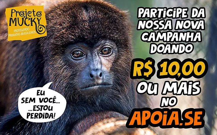 Projeto Mucky lança nova campanha no site Apoia.se