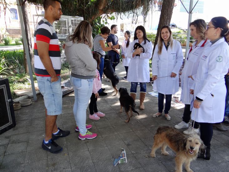 Salto promove 5ª Campanha de Adoção de Animais do Canil Municipal