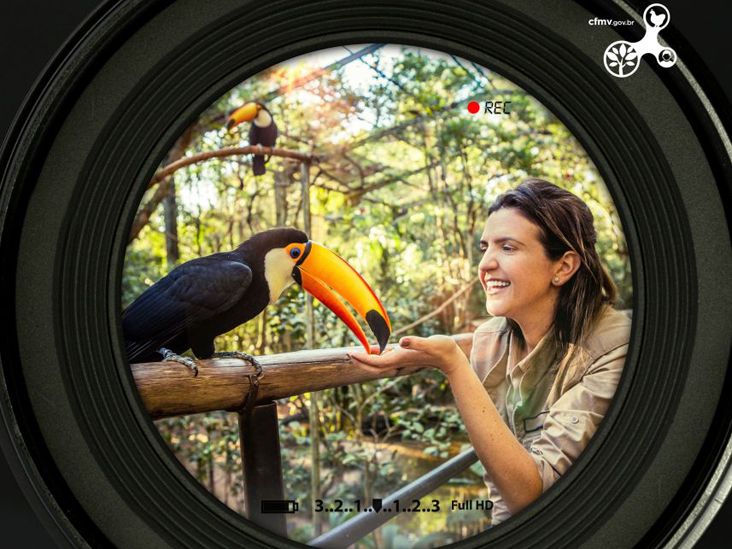 #SouVet: Campanha coloca em foco o orgulho de ser médico veterinário