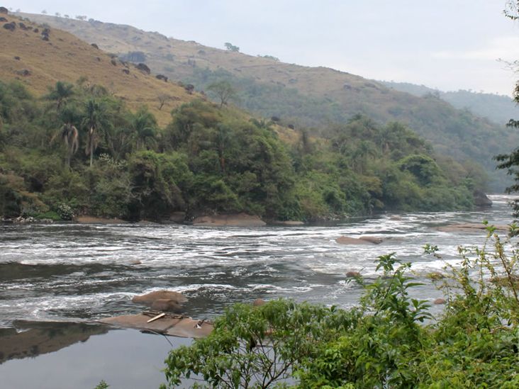 No Dia do Tietê, Fundação SOS Mata Atlântica divulga novo estudo