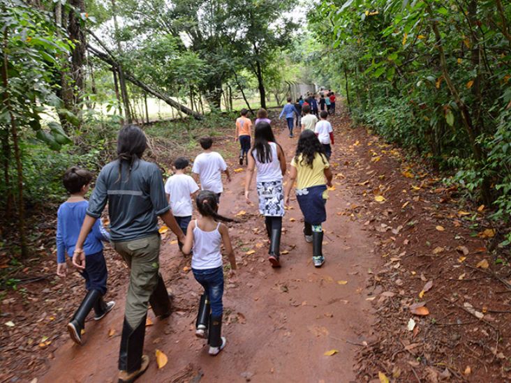 Abertas inscrições para Ecoférias na Mata Santa Genebra