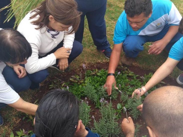 Pequi e manjericão: educação ambiental na APAE