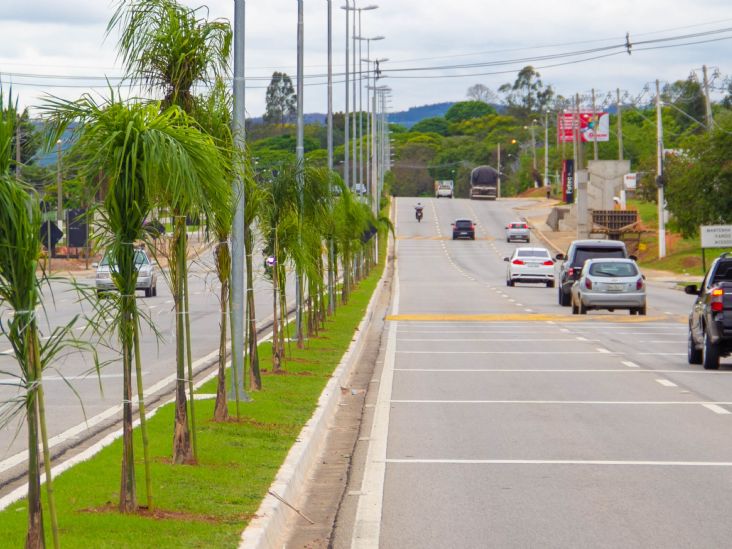 Projeto prevê o plantio de mais de 1,2 mil mudas em Itu