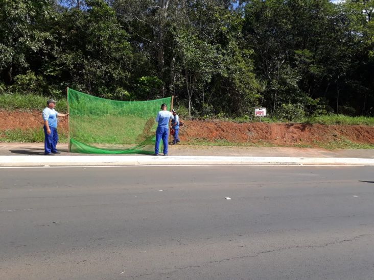 Força-tarefa reforça manutenção e limpeza na região do Pirapitingui