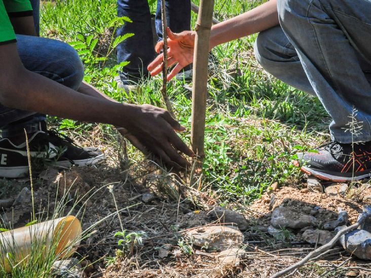 Inscrições para mostra de vídeos ambientais começam na próxima semana