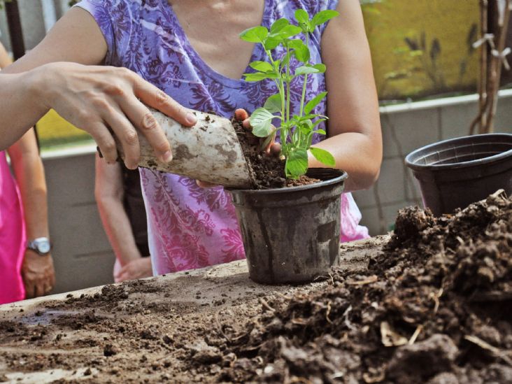 Semana do Meio Ambiente em Itu começa nesta quarta-feira