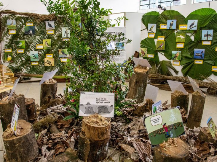 Exposição abre Semana do Meio Ambiente em Itu