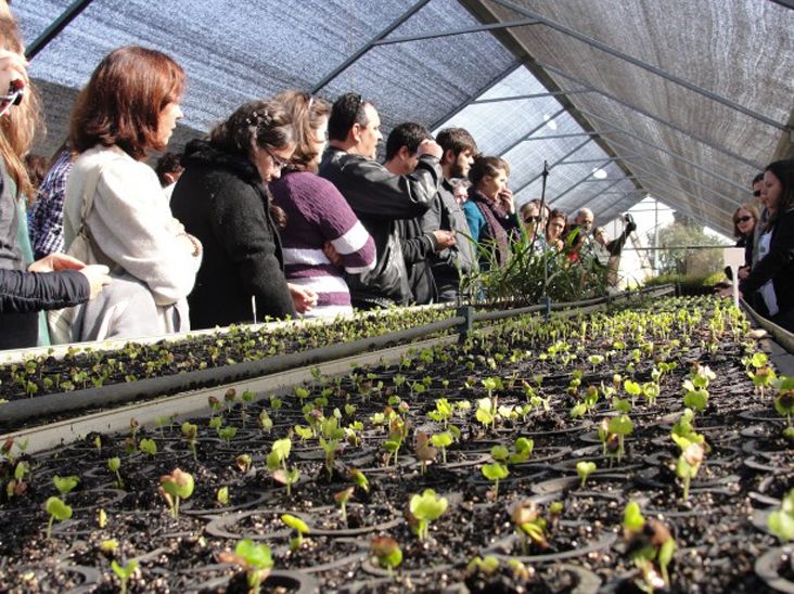 SOS Mata Atlântica abre inscrições e realiza atividades em Itu