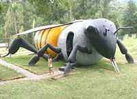 Abelha gigante de Itu é vencedora de Prêmio